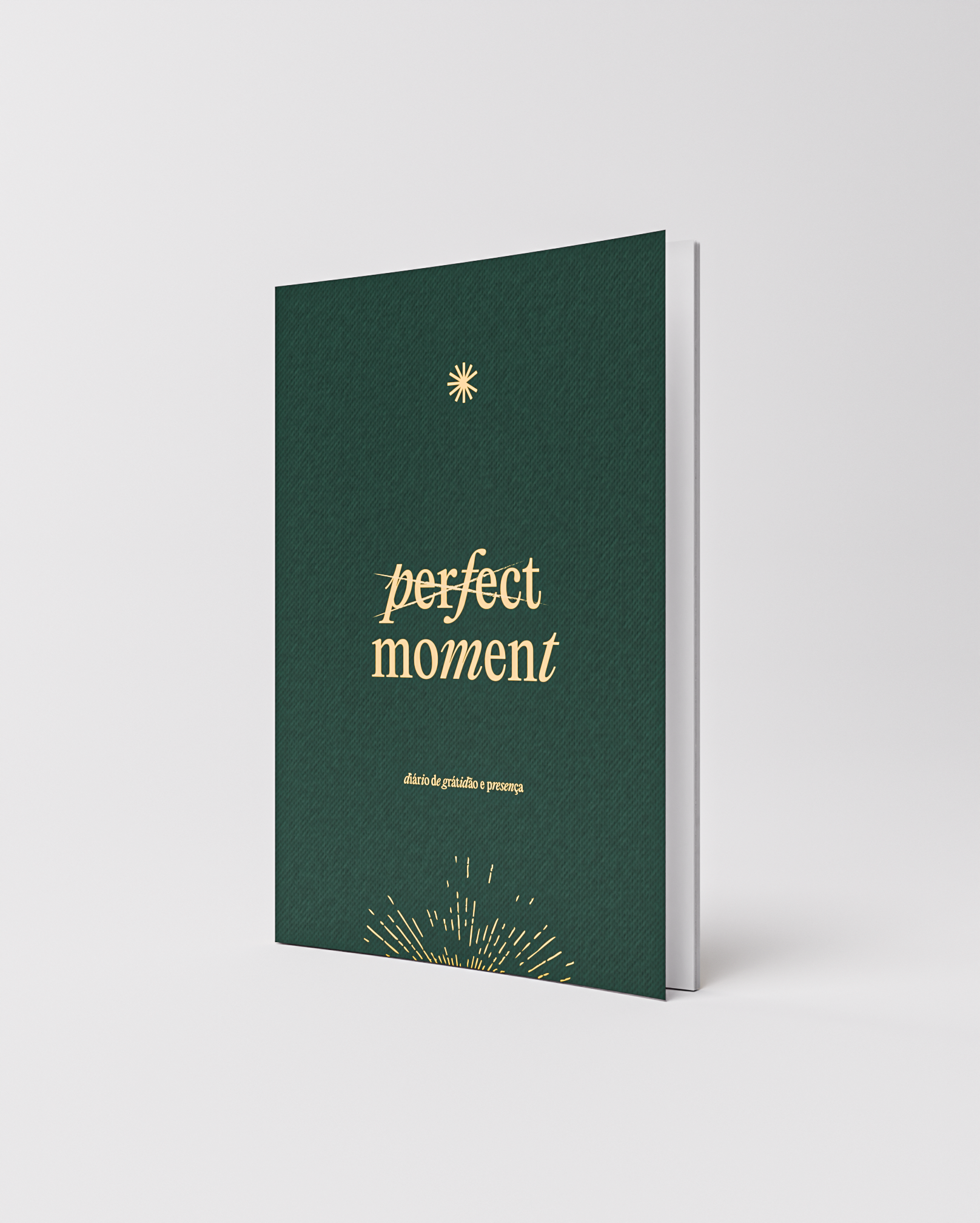 Perfect Moment - Diário de 5 minutos
